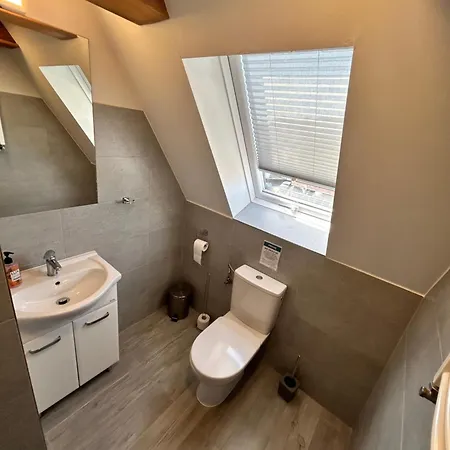 Baltic Vibes - Goscinne *